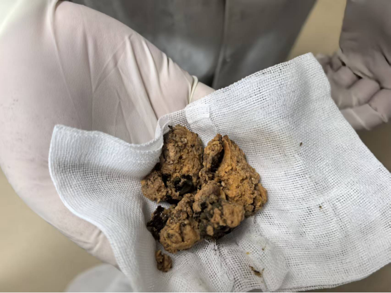 50ce4530-3bc6-41dc-87e9-56f23acef033