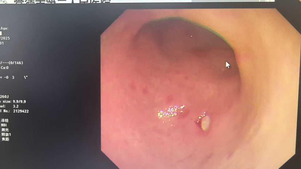 56127e3b-e0d3-46a6-a22d-06b41114613d