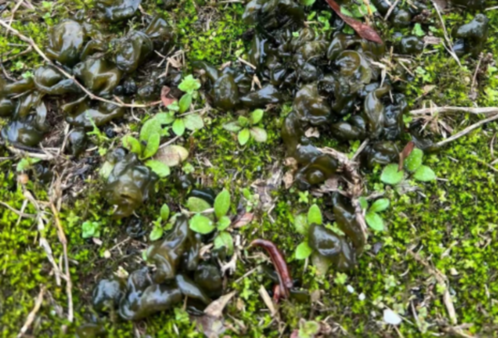 054990d3-b405-4dde-8f9b-d6522f354426