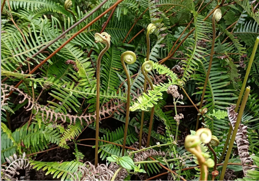 1357620f-a886-4968-8015-420e44da1f69