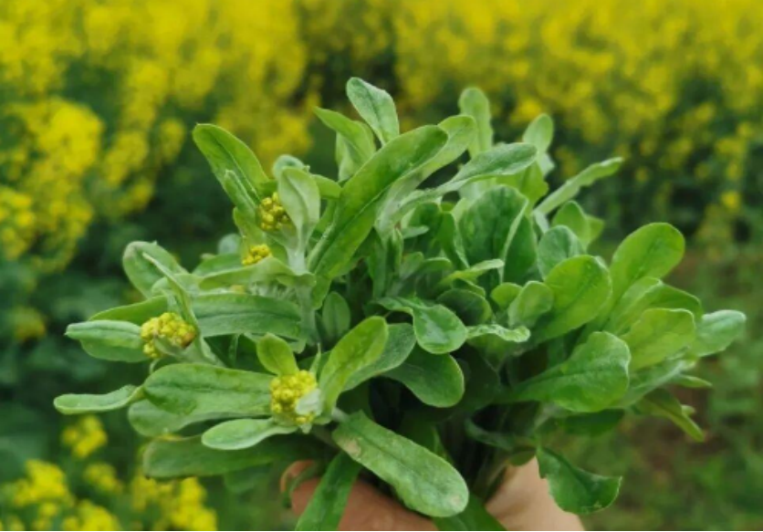 3b4a8f9c-1238-42b9-a355-4e3f809db7e3