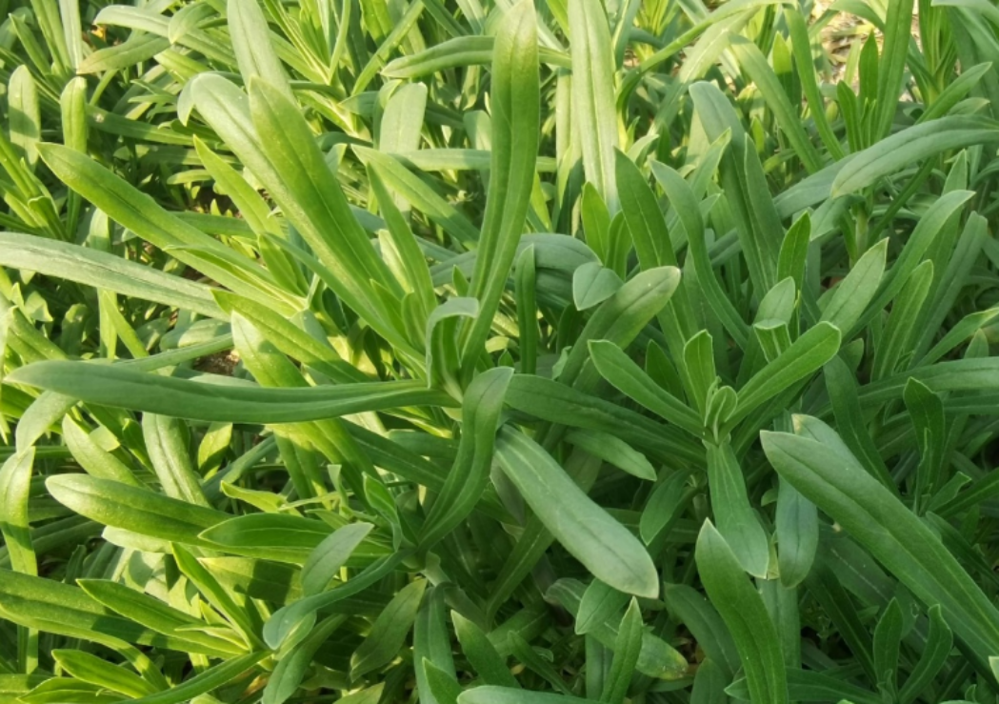 6de060dc-305b-48d9-81df-f7a9a87ec3f4