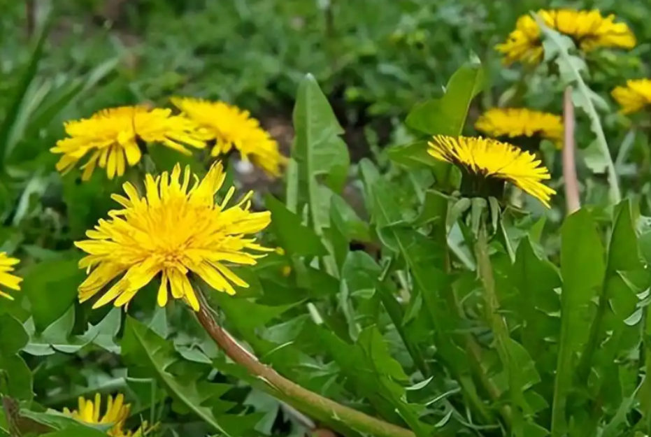 d289c602-06e0-44da-a337-cc8e5f415ae7