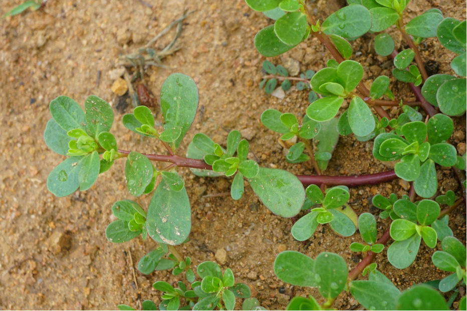 f752855f-21cb-41fd-9348-05d5d4358811