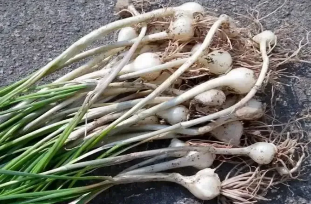 f9b9a676-3bab-4427-b363-7eb76cfd1334